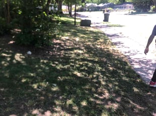 Bush Trimming by Neil Marsh for Russ B. in Rock Hill, SC