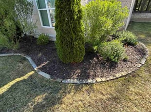 Weeding by Jason Galloway for David W. in Little Rock, AR