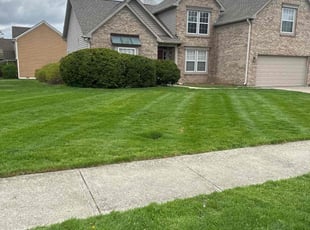 Tonya S.'s Lawn Mowing Service service result