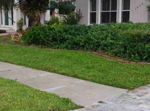 Michelle T.'s Lawn Service service result