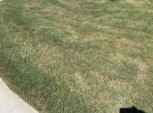 Weeding by Andrew Garza for Victor B. in San Antonio, TX