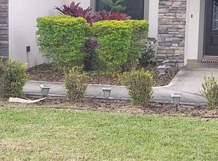 Bush Trimming by Shane Ray for Teresa H. in Titusville, FL