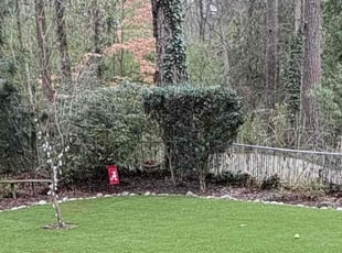 Bush Trimming by Daniel Burse for Brett J. in Atlanta, GA