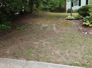 Leaf Removal by Jashaun Huggins for Alex H. in Durham, NC
