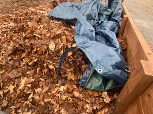 Leaf Removal by Davon Lightfoot for Marshall N. in Richmond, VA