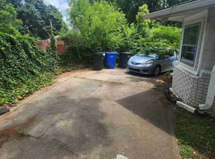Leaf Removal by James Petrone for Jessica L. in Greenville, SC