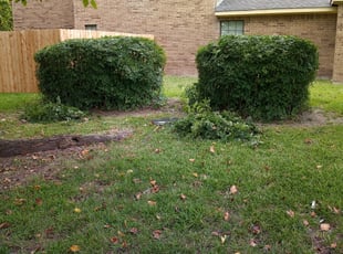 Bush Trimming by Devonn Ford for Michael L. in Fort Worth, TX