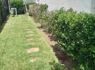 Weeding by Benjamin Thompson for "Debbie W. in Houston, TX