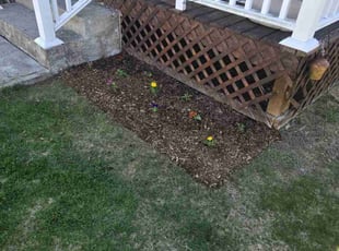 Landscaping by Samantha Wolfe for Ana J. in Springfield, MA