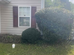 Bush Trimming by Erick G for Louis P. in Apex, NC
