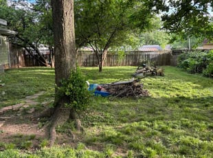 Cleanups by Landon Miller for Ashley D. in Springfield, MO