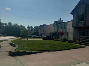 Dominicue W.'s Lawn Service service result