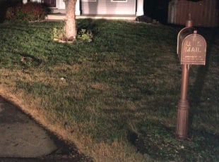 Sandy B.'s Leaf Removal service result