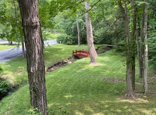 Wendy F.'s Lawn Mowing Service service result