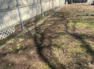 Leaf Removal by David Cardillo for James E. in Cranston, RI