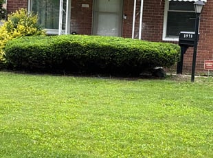 Bush Trimming by David Brooks for Latonya W. in Dearborn, MI