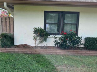 Bush Trimming by Richard Wenner for Richard C. in Sarasota, FL
