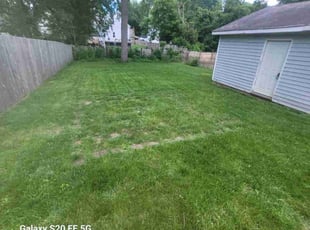 Cleanups by Lawrence Tischler for Vasuki R. in Cincinnati, OH