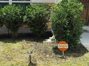 Cleanups by Rene Gabriel Ramirez for Mayank K. in Round Rock, TX