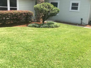 Bush Trimming by Joel Valls Sr for Norma C. in Jacksonville, FL