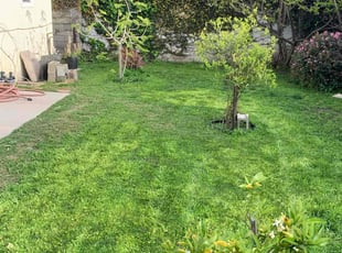 Gerald W.'s Lawn Mowing Service service result