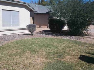 Cleanups by Juan Carlos Laurean Lozoya for Patricia K. in Chandler, AZ