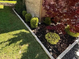 Weeding by Jorge Aguilar for Mark Z. in Dallas, TX