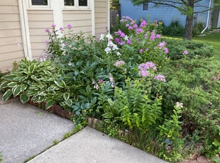 Bush Trimming by Don Hansen for Alina A. in Maple Grove, MN