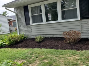 Mulching by Joseph Pinto for Breanne H. in Rockville, MD