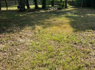 Cleanups by Christopher Piccioni for David S. in Washington Township, NJ