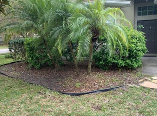 Leaf Removal by Wesly Lamour for Brian R. in Ocoee, FL