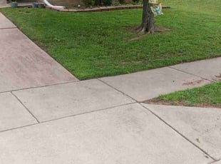 John K.'s Yard Cutting service result