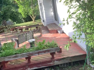 Rachel D.'s Bush Trimming service result