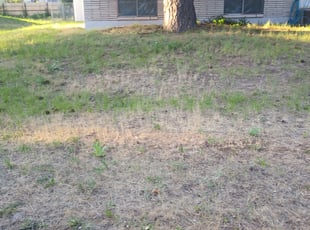 Cleanups by William Dixon for Kymberli C. in Spokane Valley, WA
