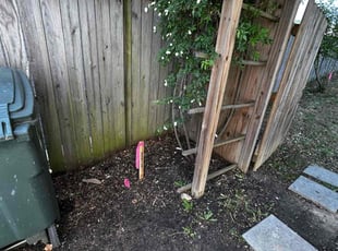 Leaf Removal by Angel P. for Lakshmi G. in Arlington, VA