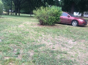 Bush Trimming by Wayne Banton for Yolanda O. in Kannapolis, NC
