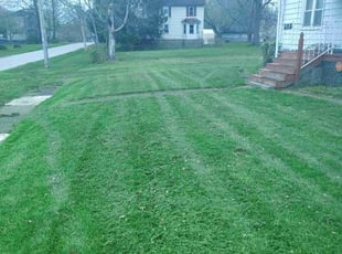 Steve L.'s Yard Cutting service result