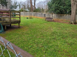 Leaf Removal by Paul Norman for Steve B. in Charlotte, NC