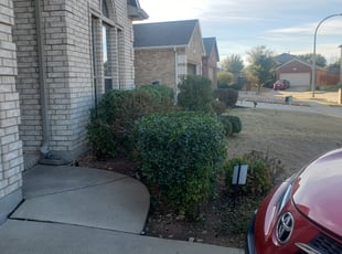 Bush Trimming by Abelino Ramos for Jacob R. in Fort Worth, TX