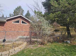 Bush Trimming by Delbert Jones for Lizabeth L. in Boise, ID