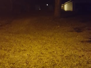Leaf Removal by Christina duke for Maria T. in Charlotte, NC