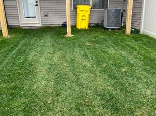 Jennifer N.'s Lawn Mowing Service service result