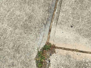 Mike S.'s Weeding service result