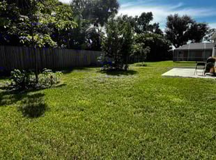 Saul G.'s Grass Cutting service result