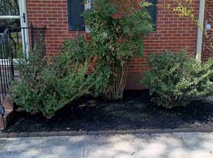 Mulching by James/Andrea Robinson/Stafford for Stacey H. in Murfreesboro, TN