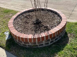 Weeding by Adolfo Gonzalez Castaneda for Emilee H. in Red Oak, TX