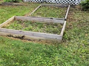 Carla F.'s Leaf Removal service result