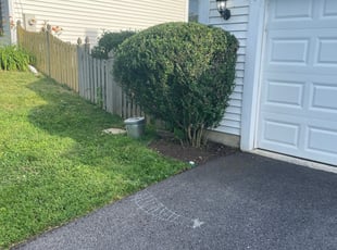 Bush Trimming by Ferdy Cardona for Kristen F. in Gaithersburg, MD