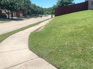 Tanya L.'s Lawn Maintenance service result