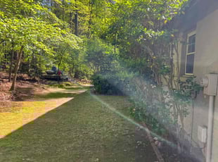 Leaf Removal by Green Juniper for Jacob S. in Raleigh, NC